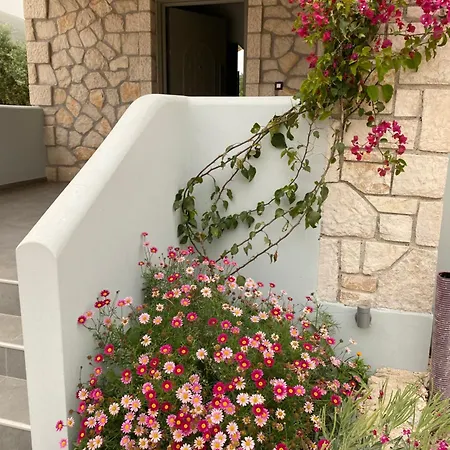 Black Pearl Zakynthos Apartment *