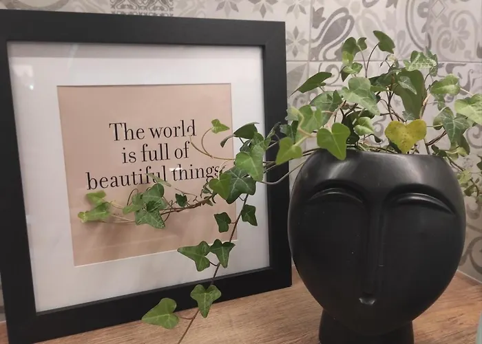 Black Pearl Zakynthos