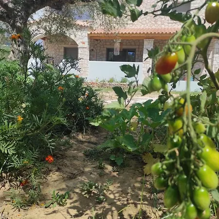 Black Pearl Zakynthos Lithakia (Zakynthos)